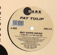 Fat Tulip - Way Down Inside