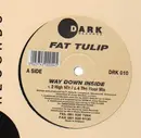12inch Vinyl Single - Fat Tulip - Way Down Inside