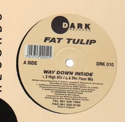 Fat Tulip - Way Down Inside