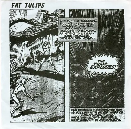 Fat Tulips - The Tulip Explodes!