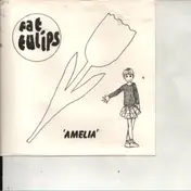 Fat Tulips - Amelia