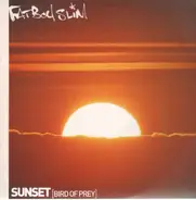 Fatboy Slim - Sunset (Bird Of Prey)