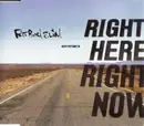 CD Single - Fatboy Slim - Right Here, Right Now - Slimcase