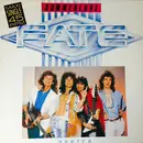 12inch Vinyl Single - Fate - Summerlove (Maxi-Remix)