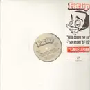 12inch Vinyl Single - Fatlip - Here Comes The Lip / The Story Of Us