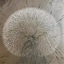 LP - Fatso Jetson / Herba Mate - Early Shapes - Numbered