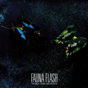 Fauna Flash - Worx - The Remixes
