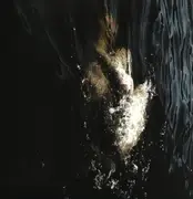 12inch Vinyl Single - Fawn Limbs , Nadja - Vestigial Spectra - Ltd ed