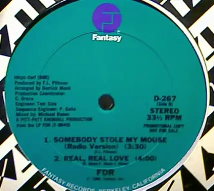 Fdr - Somebody stole my mouse