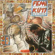 CD - Femi Kuti And Femi Kuti & The Positive Force - Femi Anikulapo Kuti And The Positive Force