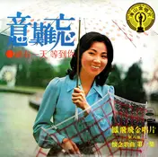 Feng Fei Fei - 鳳飛飛金唱片<第八集> : 意難忘  / 總有一天等到你