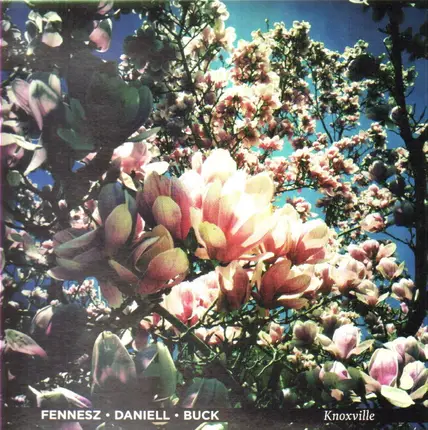 Fennesz / Daniell / Buck - Knoxville