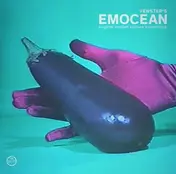 Fenster - Emocean