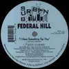 12inch Vinyl Single - Federal Hill - I Have Something For You