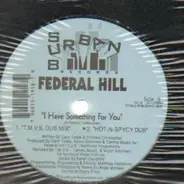 Federal Hill - I Have Something for You