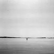 Federsen - Rose Bay