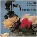 7inch Vinyl Single - Fedor Frešo , Collegium Musicum - If You Want To Fall