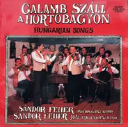 Fehér Sándor Népi Zenekara - Galamb Száll A Hortobágyon - Hungarian Songs