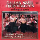 LP - Fehér Sándor Népi Zenekara - Galamb Száll A Hortobágyon - Hungarian Songs