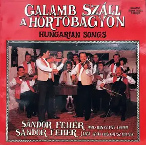 Fehér Sándor Népi Zenekara - Galamb Száll A Hortobágyon - Hungarian Songs