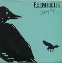 7inch Vinyl Single - Feinbein - Schräge Vögel