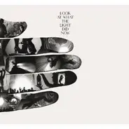 Feist - Look at What the Light Did Now