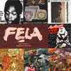 LP-Box - Fela Kuti - Vinyl Box Set 3/Compiled by Brian Eno/7xLP/180g - CURATED BY BRIAN ENO