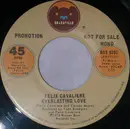 7inch Vinyl Single - Felix Cavaliere - Everlasting Love