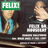 Felix Da Housecat - Madame Hollywood / What Does It Feel Like?