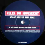 12inch Vinyl Single - Felix Da Housecat - What Does It Feel Like?