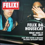 12inch Vinyl Single - Felix Da Housecat - What Does It Feel Like?