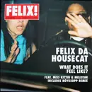 12inch Vinyl Single - Felix Da Housecat - What Does It Feel Like?