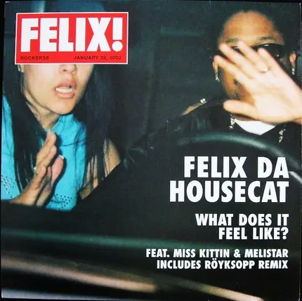 Felix Da Housecat - What Does It Feel Like?