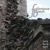 CD - Felonious Bosch - New Dark Ages