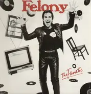 Felony - The Fanatic