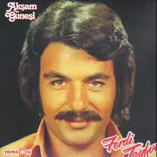 Ferdi Tayfur - Aksam Gunesi