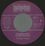 7inch Vinyl Single - Fernando Express - Good Bye Love