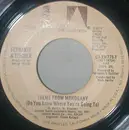7inch Vinyl Single - Ferrante & Teicher - Theme From Mahogany (Do You Know Where You're Going To)