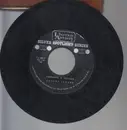7inch Vinyl Single - Ferrante & Teicher - Autumn Leaves