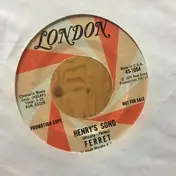 Ferret - Hudson Bay