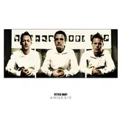 Fettes Brot - Amnesie