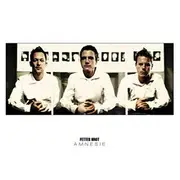 CD - Fettes Brot - Amnesie - 16 Singles Gegen Das Vergessen