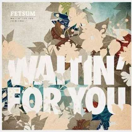 Fetsum - Waitin For You (Remixes)