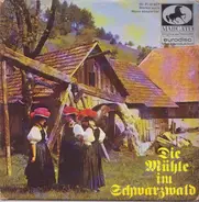 FFB - Orchester - Die Mühle Im Schwarzwald