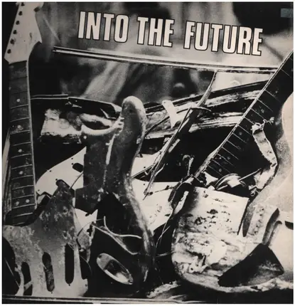Ffurs, PVC, Hinterbergers Wut, .. - Into The Future
