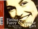 CD Single - Finbar Furey & Denise Hagan - The Sparkle In Your Eye