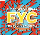 CD Single - Fine Young Cannibals - She Drives Me Crazy