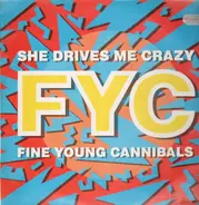 Fine Young Cannibals - She Drives Me Crazy