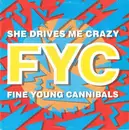 12inch Vinyl Single - Fine Young Cannibals - She Drives Me Crazy