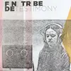 12inch Vinyl Single - FINITRIBE - DETESTIMONY -REMIX-